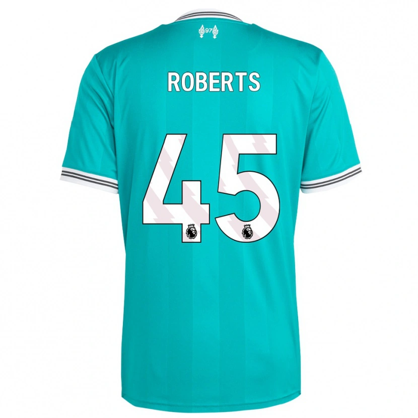 Danxen Niño Camiseta Iwan Roberts #45 Verde Blanco Equipación Tercera 2025/26 La Camisa México