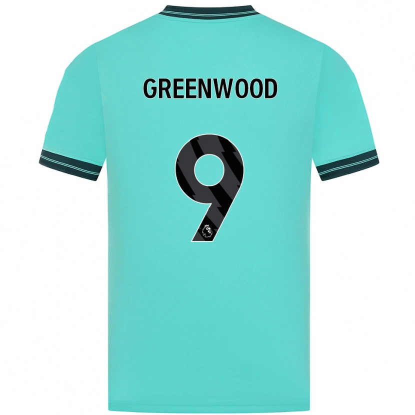 Danxen Hombre Camiseta Jashayde Greenwood #9 Celeste Verde 2ª Equipación 2025/26 La Camisa México