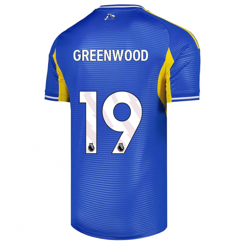 Danxen Mujer Camiseta Sam Greenwood #19 Azul Amarillo 2ª Equipación 2025/26 La Camisa México