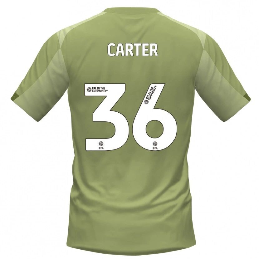 Danxen Mujer Camiseta Dan Carter #36 Salvia Champán 2ª Equipación 2025/26 La Camisa México