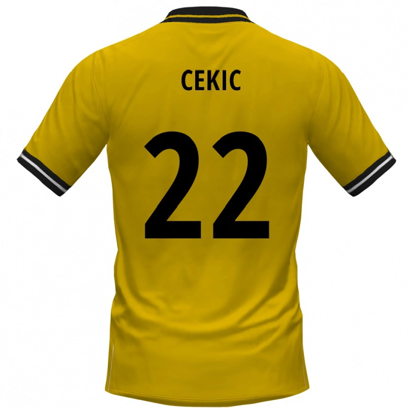 Danxen Niño Camiseta Adnan Cekic #22 Amarillo Negro 1ª Equipación 2025/26 La Camisa México