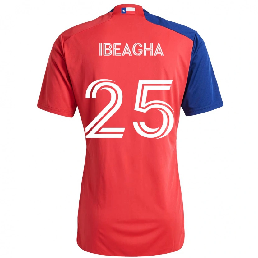 Danxen Mujer Camiseta Sebastien Ibeagha #25 Azul Claro Rojo 1ª Equipación 2025/26 La Camisa México