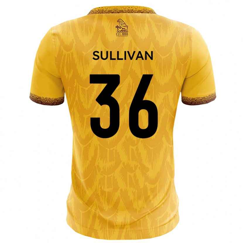 Danxen Niño Camiseta Cameron Sullivan #36 Amarillo Marrón 1ª Equipación 2025/26 La Camisa México