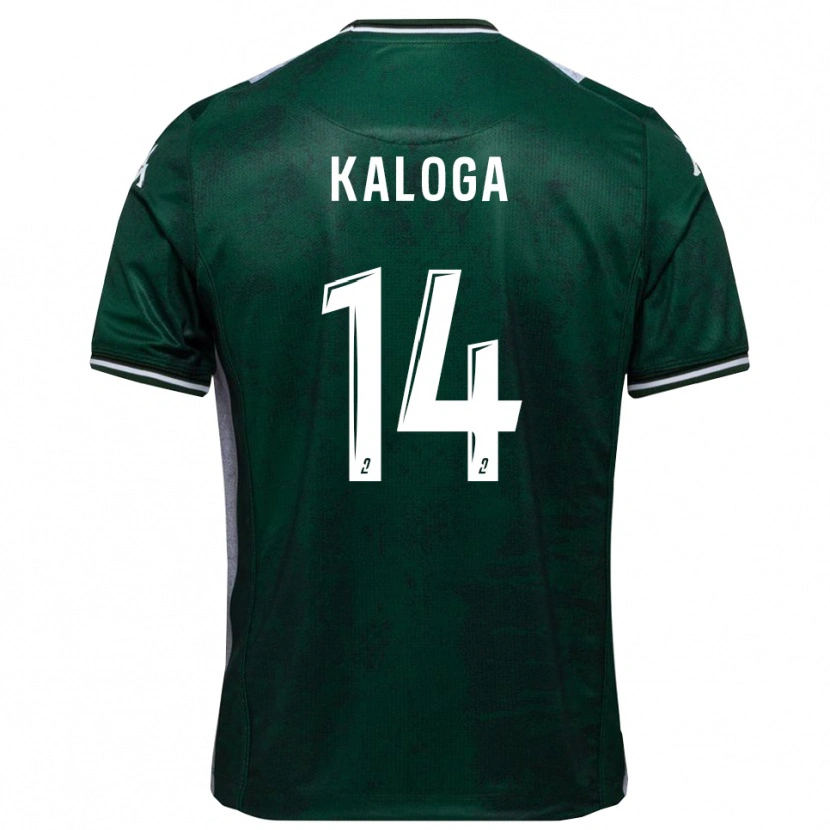 Danxen Niño Camiseta Amallah Kaloga #14 Verde Blanco 1ª Equipación 2025/26 La Camisa México