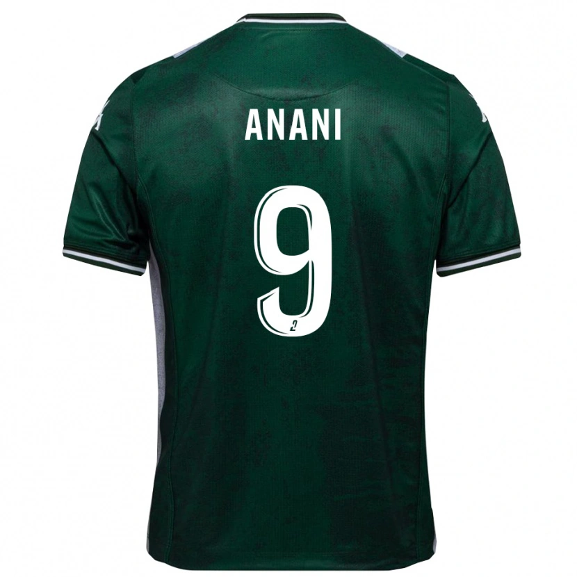 Danxen Niño Camiseta Achille Anani #9 Verde Blanco 1ª Equipación 2025/26 La Camisa México