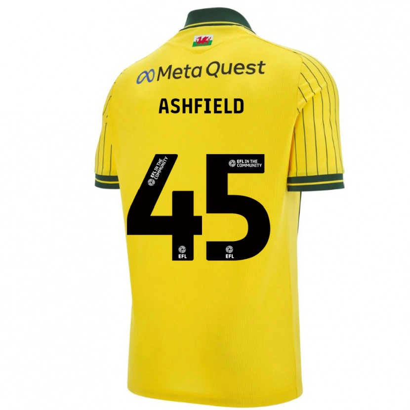 Danxen Mujer Camiseta Harry Ashfield #45 Amarillo Verde 2ª Equipación 2025/26 La Camisa México