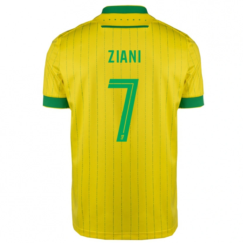 Danxen Hombre Camiseta Sacha Ziani #7 Amarillo Verde 1ª Equipación 2025/26 La Camisa México