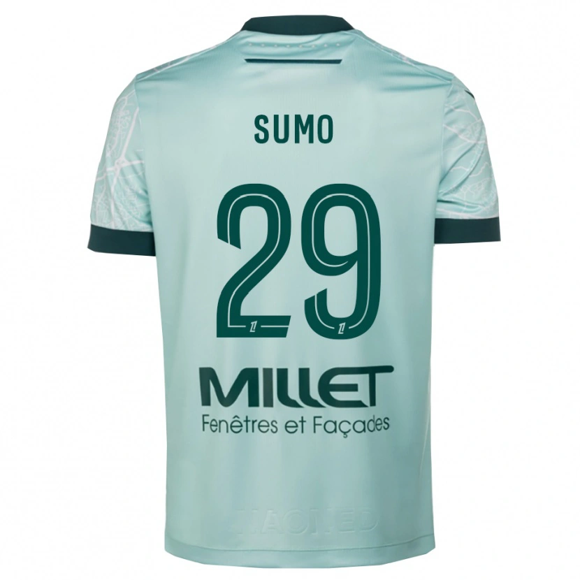 Danxen Hombre Camiseta Eva Sumo #29 Verde Blanco 2ª Equipación 2025/26 La Camisa México