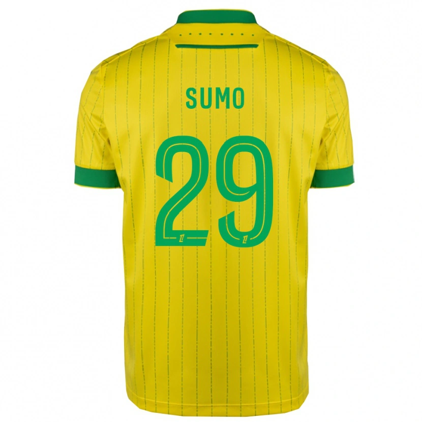 Danxen Mujer Camiseta Eva Sumo #29 Amarillo Verde 1ª Equipación 2025/26 La Camisa México