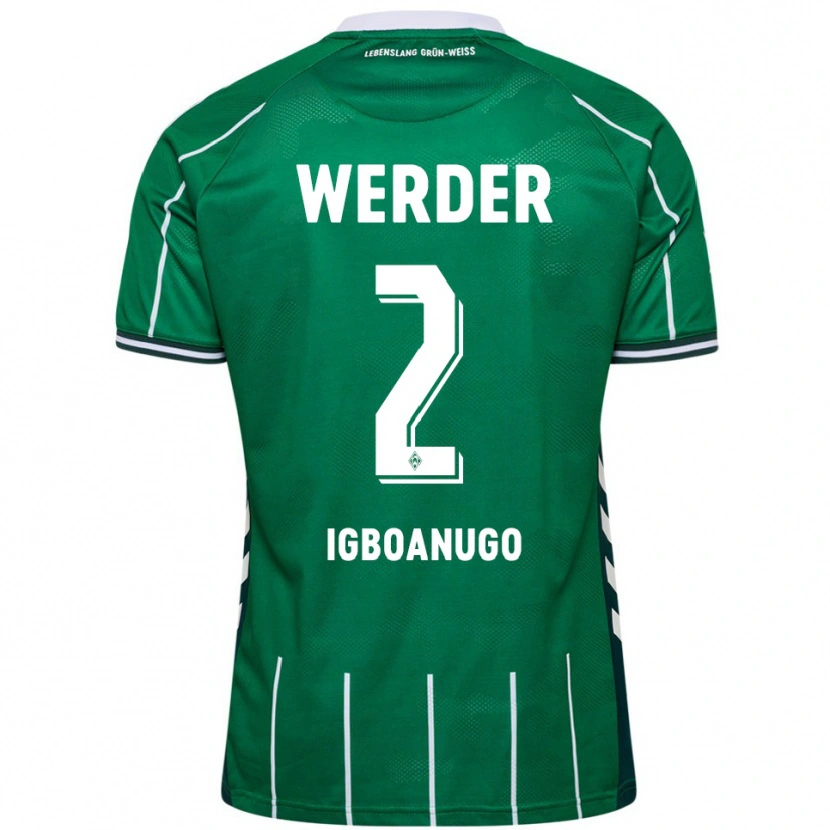 Danxen Mujer Camiseta David Igboanugo #2 Verde Blanco 1ª Equipación 2025/26 La Camisa México