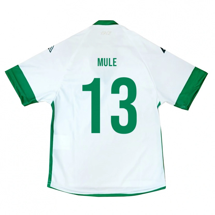 Danxen Hombre Camiseta Erasmo Mulè #13 Blanco Verde Azul 2ª Equipación 2025/26 La Camisa México