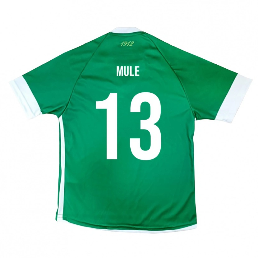 Danxen Mujer Camiseta Erasmo Mulè #13 Verde Blanco 1ª Equipación 2025/26 La Camisa México