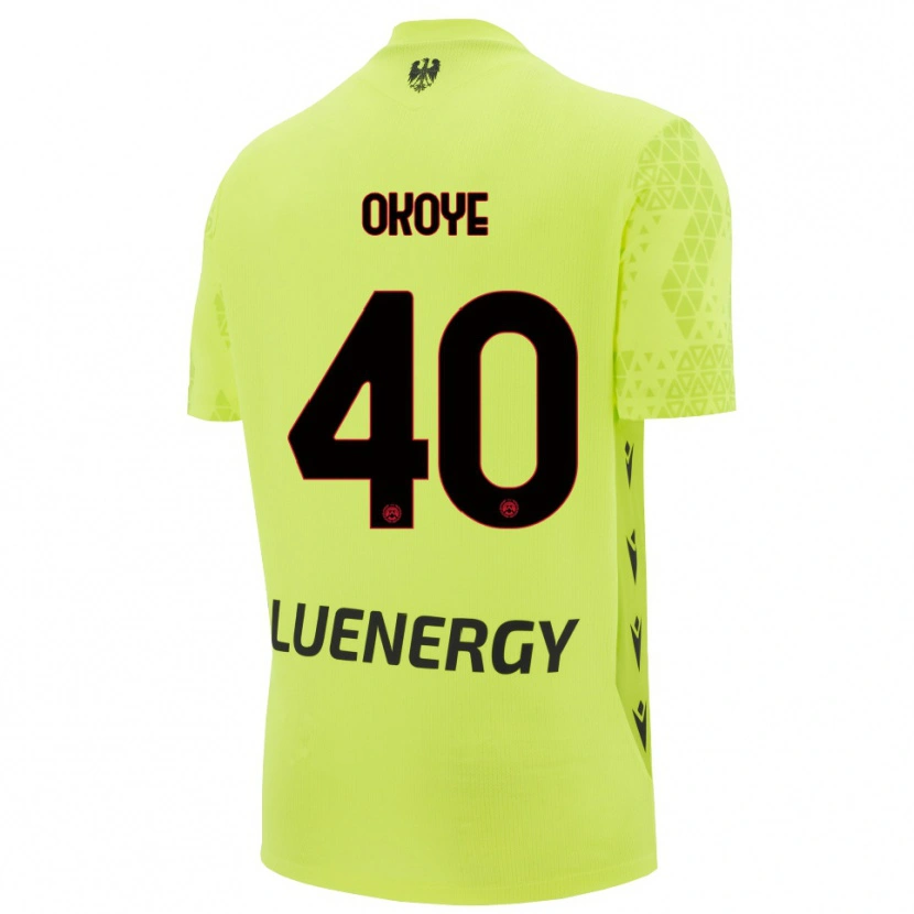 Danxen Niño Camiseta Maduka Okoye #40 Verde Amarillo Negro Portero Equipación 2025/26 La Camisa México