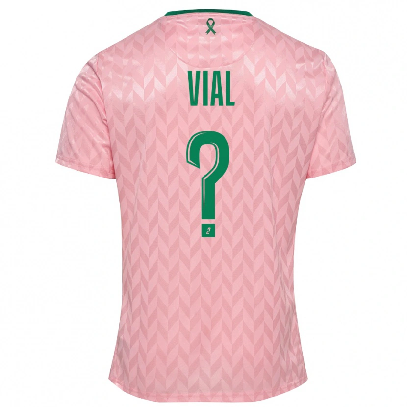 Danxen Hombre Camiseta Lorik Vial #0 Verde Rosa Portero Equipación 2025/26 La Camisa México