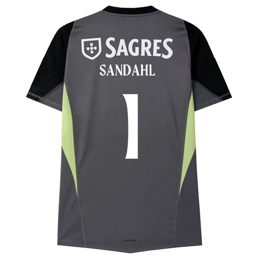 Danxen Hombre Camiseta Alexander Sandahl #1 Gris Oscuro Negro Portero Equipación 2025/26 La Camisa México