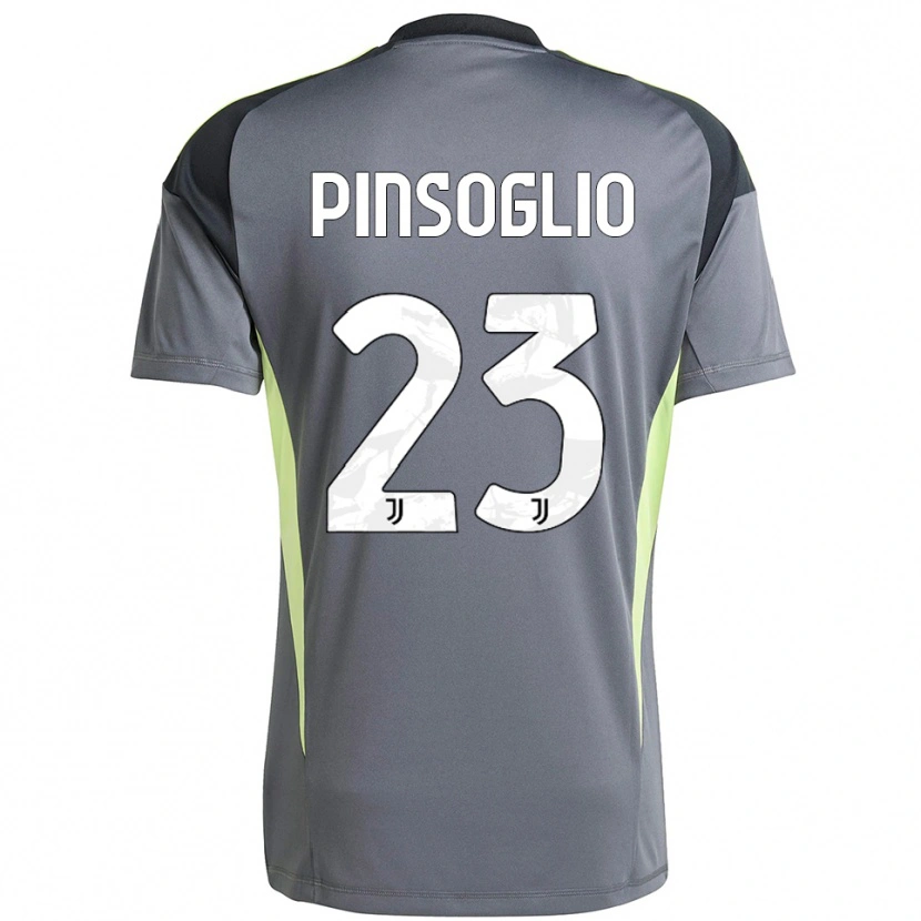 Danxen Mujer Camiseta Carlo Pinsoglio #23 Gris Oscuro Blanco Portero Equipación 2025/26 La Camisa México