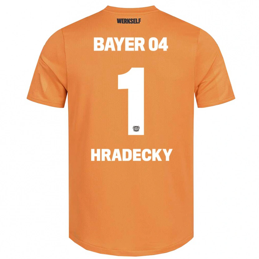 Danxen Mujer Camiseta Lukas Hradecky #1 Marrón Arena Portero Equipación 2025/26 La Camisa México