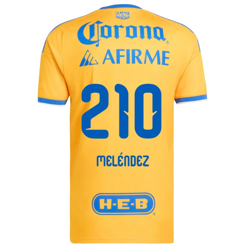 Danxen Niño Camiseta Marcelo Meléndez #210 Amarillo Azul 1ª Equipación 2026/27 La Camisa México