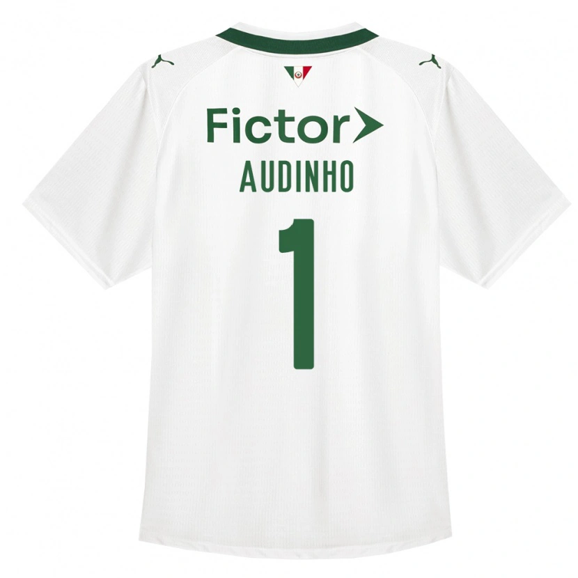 Danxen Hombre Camiseta Audo Ventilari Albuquerque Da Costa #1 Verde Blanco 2ª Equipación 2026/27 La Camisa México