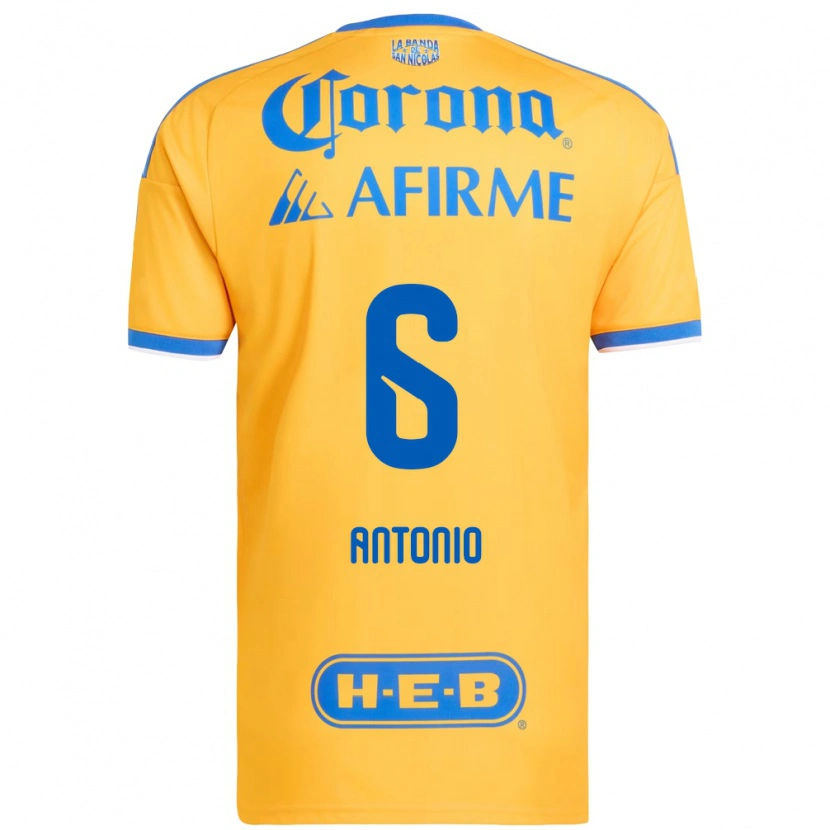 Danxen Mujer Camiseta Nancy Antonio #6 Amarillo Azul 1ª Equipación 2026/27 La Camisa México