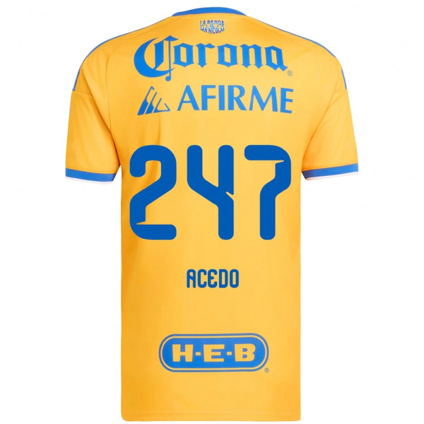 Danxen Mujer Camiseta Kevin Acedo #247 Amarillo Azul 1ª Equipación 2026/27 La Camisa México