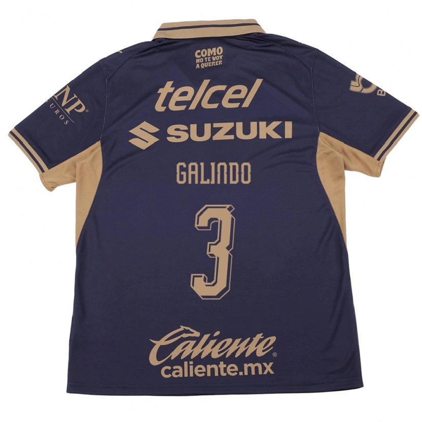 Danxen Mujer Camiseta Ricardo Galindo #3 Morado Marrón 1ª Equipación 2026/27 La Camisa México