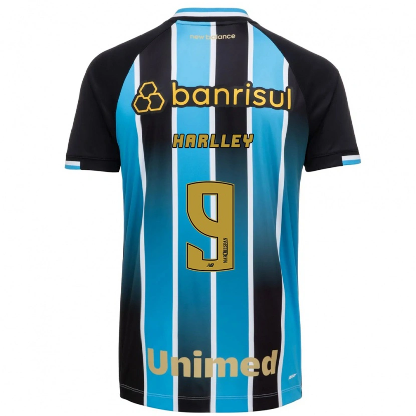 Danxen Mujer Camiseta Harlley Hanry Nascimento De Vasconcelos #9 Azul Marrón Negro 1ª Equipación 2026/27 La Camisa México