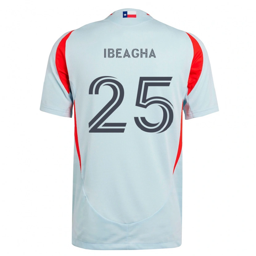 Danxen Mujer Camiseta Sebastien Ibeagha #25 Gris Oscuro Blanco Rojo 2ª Equipación 2026/27 La Camisa México