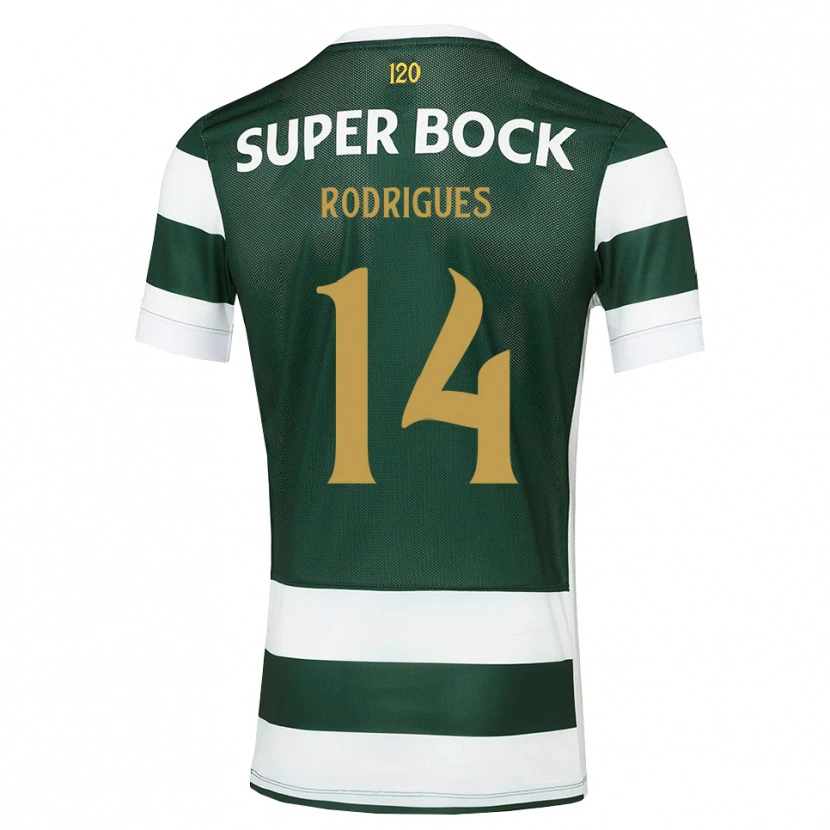 Danxen Hombre Camiseta Paulo Rodrigues #14 Grisardodarkslategray Blanco 1ª Equipación 2026/27 La Camisa México