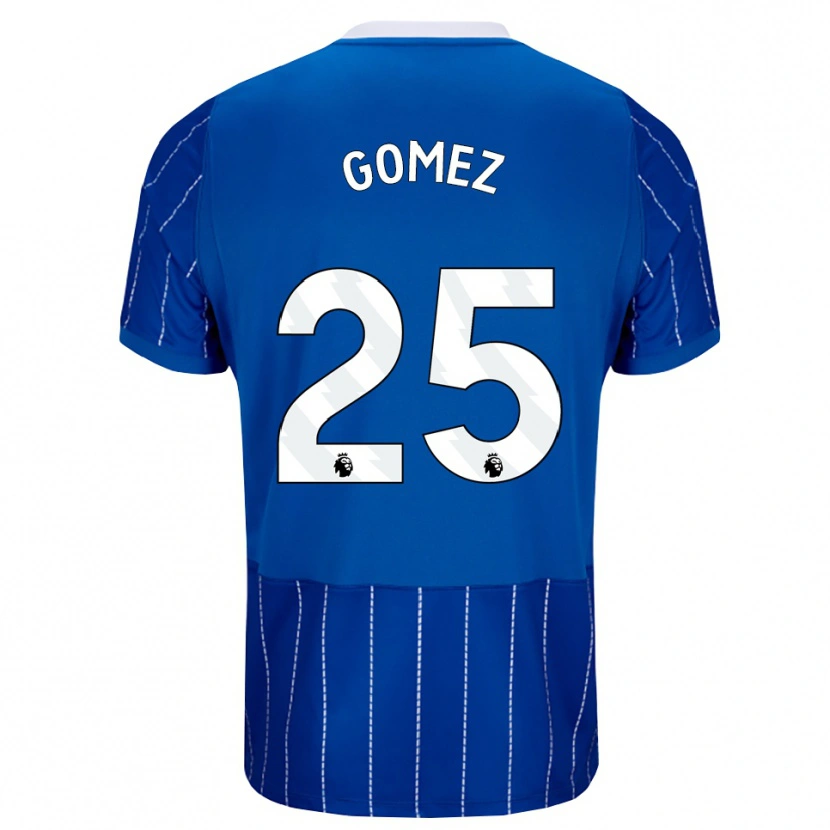 Danxen Hombre Camiseta Diego Gómez #25 Azulmedio Blanco 1ª Equipación 2026/27 La Camisa México