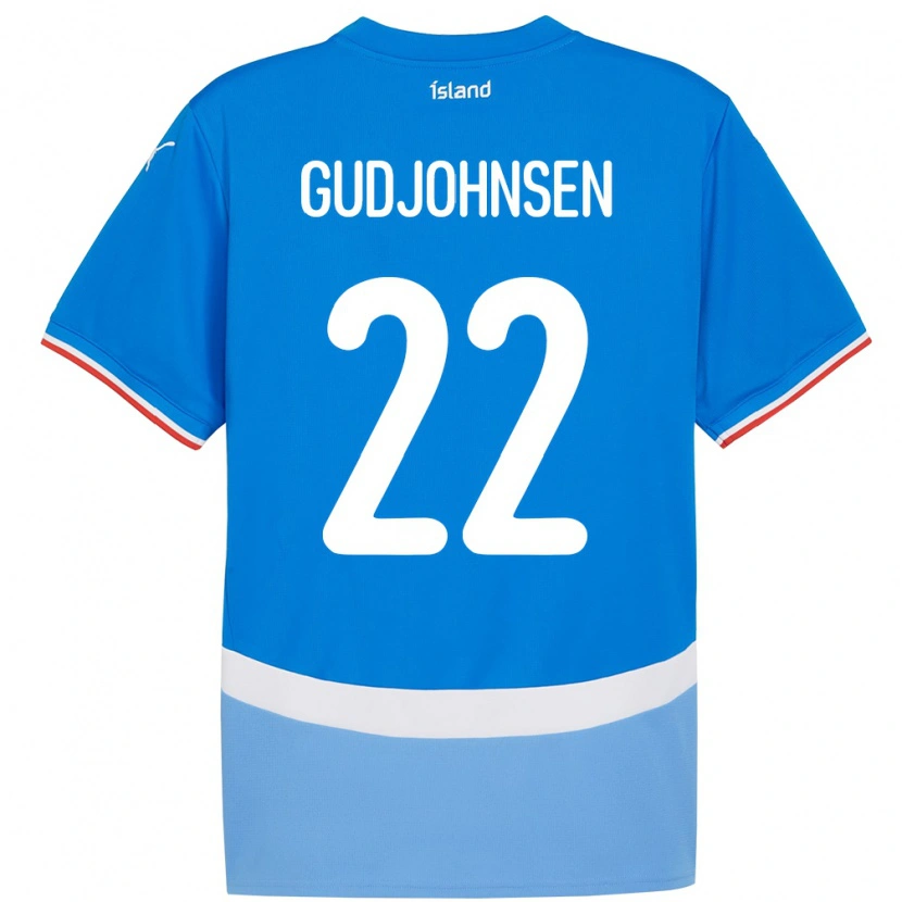 Danxen Niño Camiseta Islandia Andri Gudjohnsen #22 Azul 1ª Equipación 24-26 La Camisa México