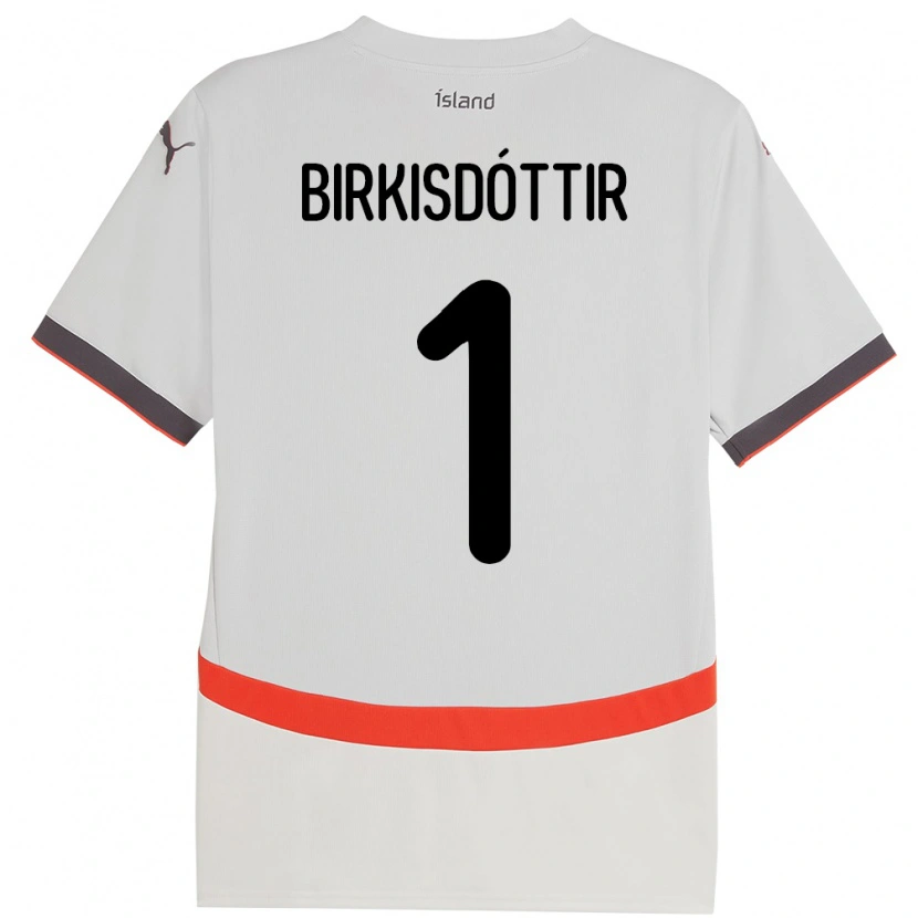 Danxen Niño Camiseta Islandia Fanney Inga Birkisdóttir #1 Blanco 2ª Equipación 24-26 La Camisa México