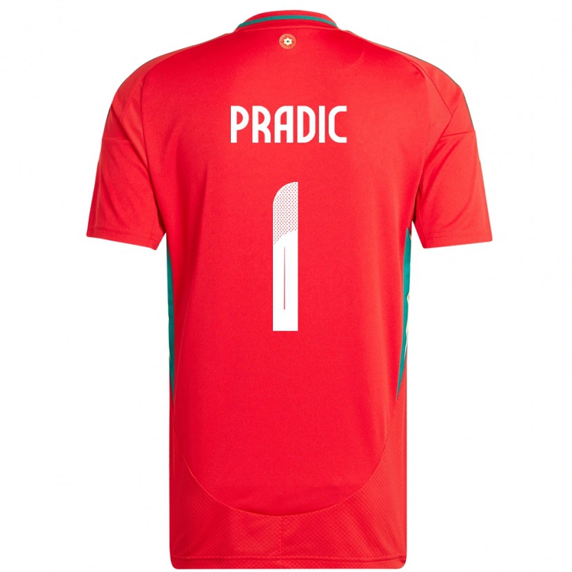 Danxen Hombre Camiseta Gales James Pradic #1 Rojo 1ª Equipación 24-26 La Camisa México