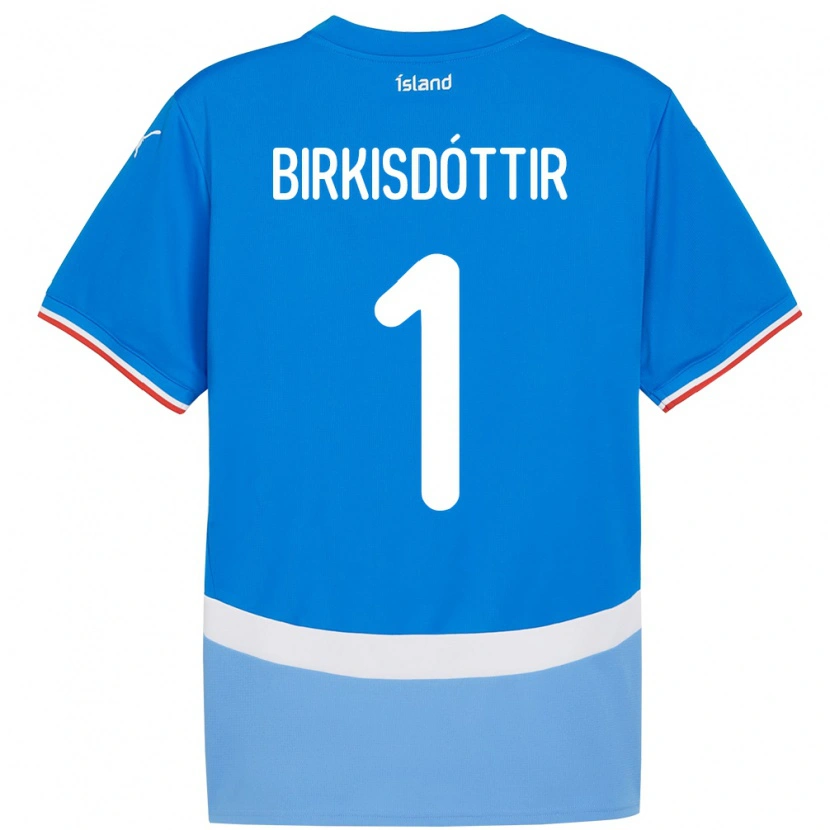 Danxen Hombre Camiseta Islandia Fanney Inga Birkisdóttir #1 Azul 1ª Equipación 24-26 La Camisa México
