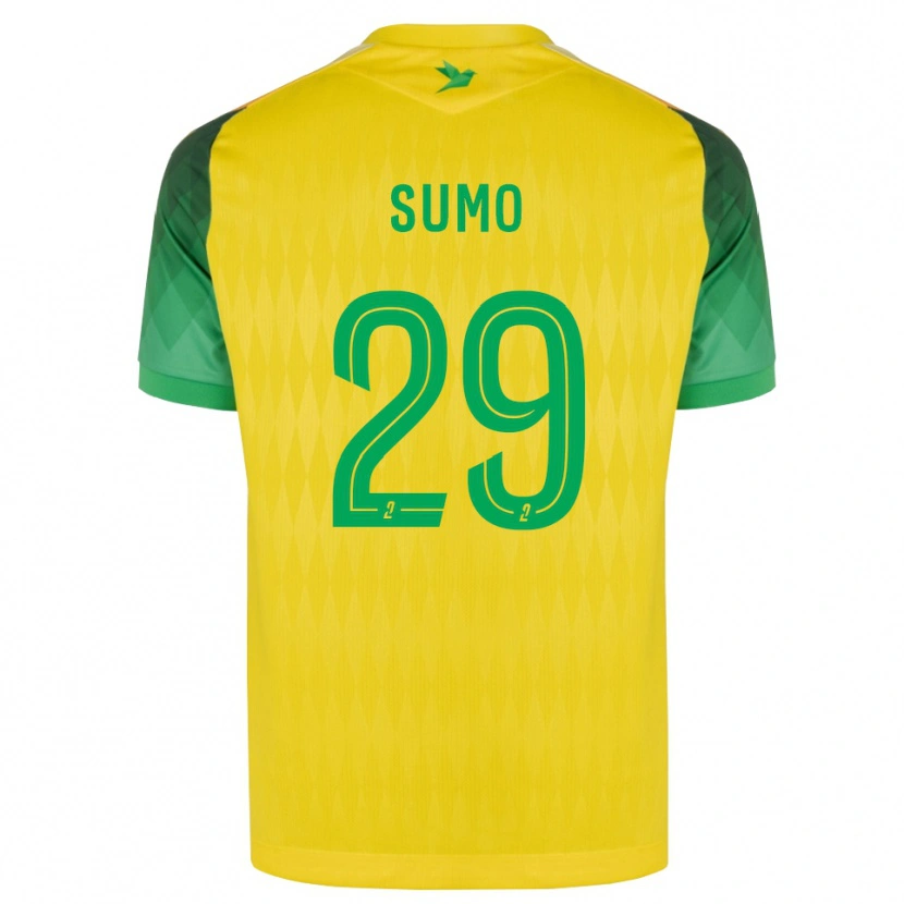 Danxen Mujer Camiseta Eva Sumo #29 Amarillo Verde Rojo 1ª Equipación 2026/27 La Camisa México