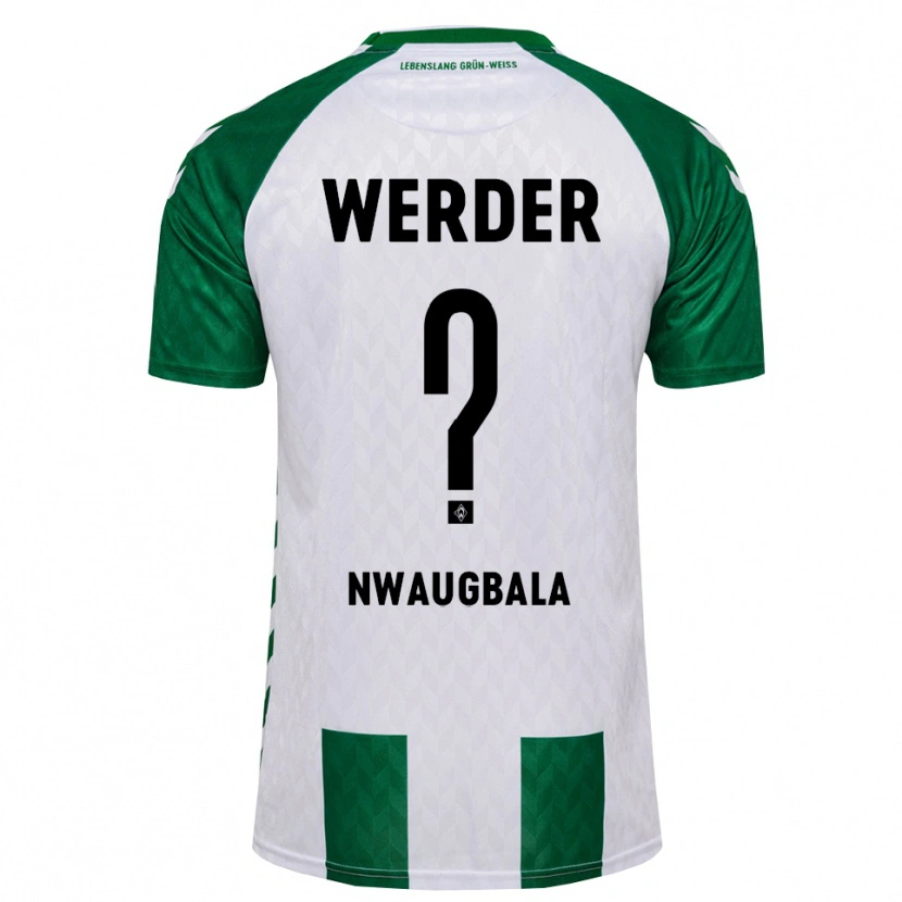 Danxen Hombre Camiseta Kevin Nwaugbala #0 Verde Blanco 1ª Equipación 2026/27 La Camisa México
