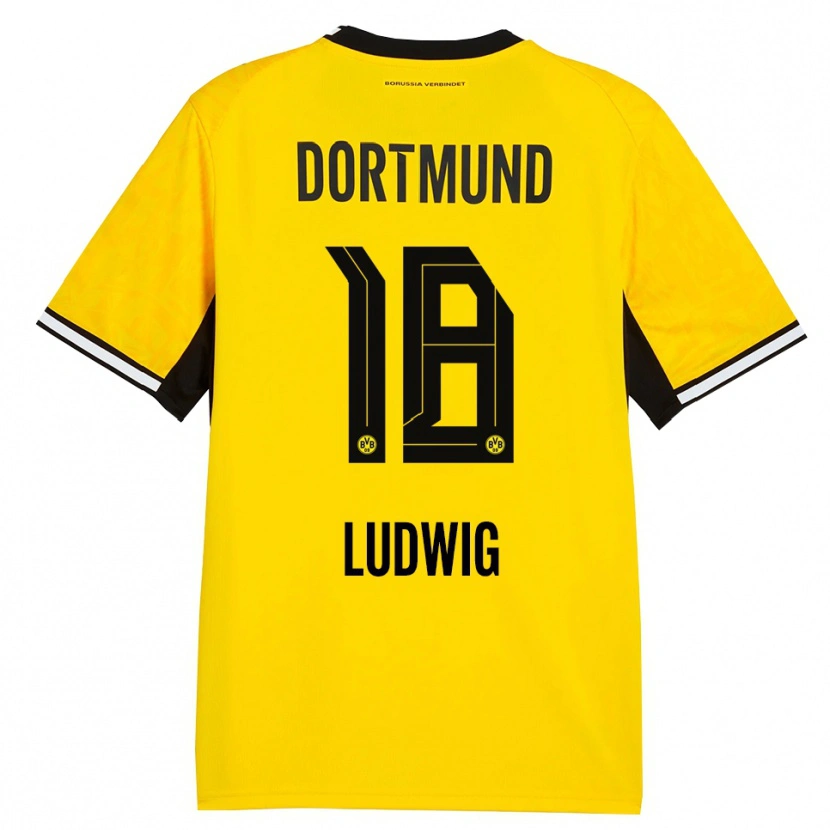 Danxen Hombre Camiseta Michel Ludwig #18 Amarillo Negro Blanco 1ª Equipación 2026/27 La Camisa México