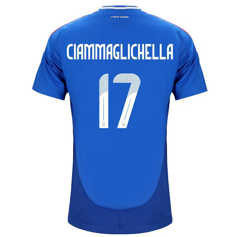 Danxen Niño Camiseta Italia Aaron Ciammaglichella #17 Azul 1ª Equipación 24-26 La Camisa México