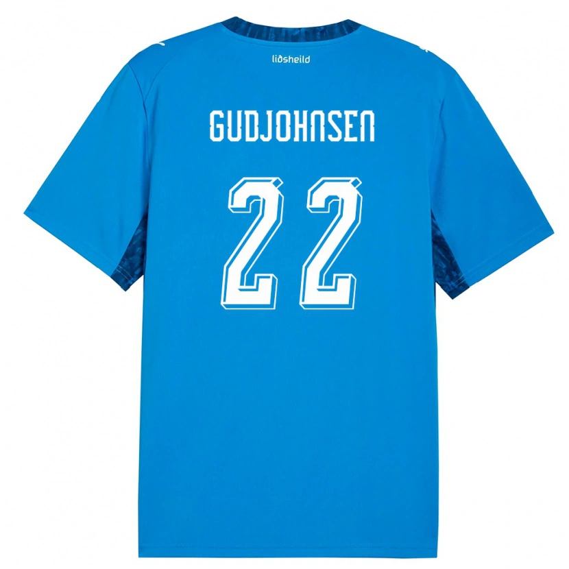 Danxen Niño Camiseta Islandia Andri Gudjohnsen #22 Azul Marino 1ª Equipación 26-28 La Camisa México