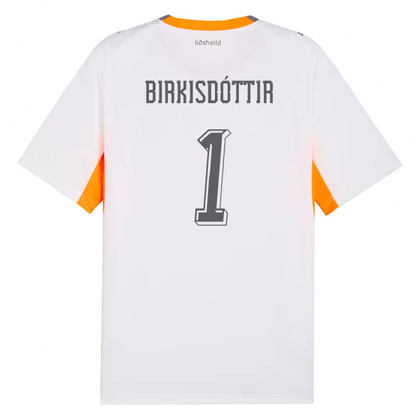 Danxen Niño Camiseta Islandia Fanney Inga Birkisdóttir #1 Blanco Naranja Gris 2ª Equipación 26-28 La Camisa México