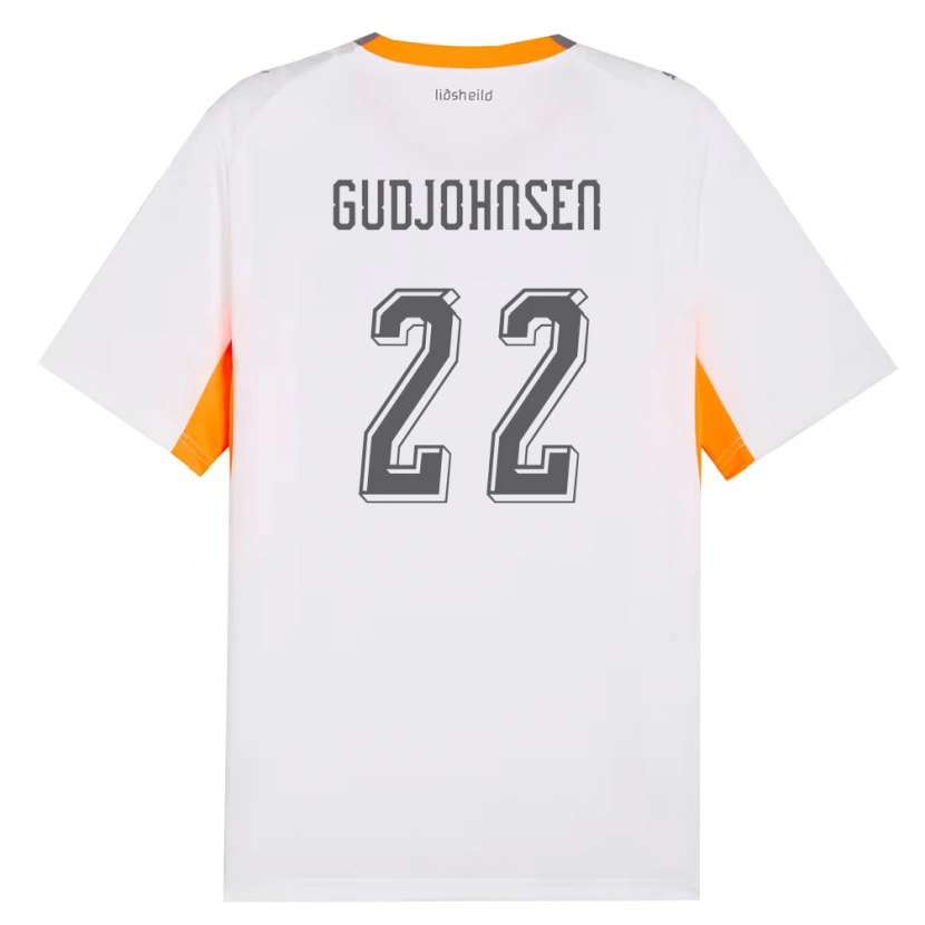 Danxen Niño Camiseta Islandia Andri Gudjohnsen #22 Blanco Naranja Gris 2ª Equipación 26-28 La Camisa México