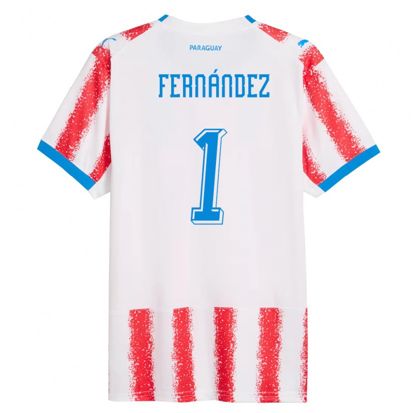 Danxen Niño Camiseta Paraguay Roberto Fernández #1 Blanco Rojo Azul 1ª Equipación 26-28 La Camisa México