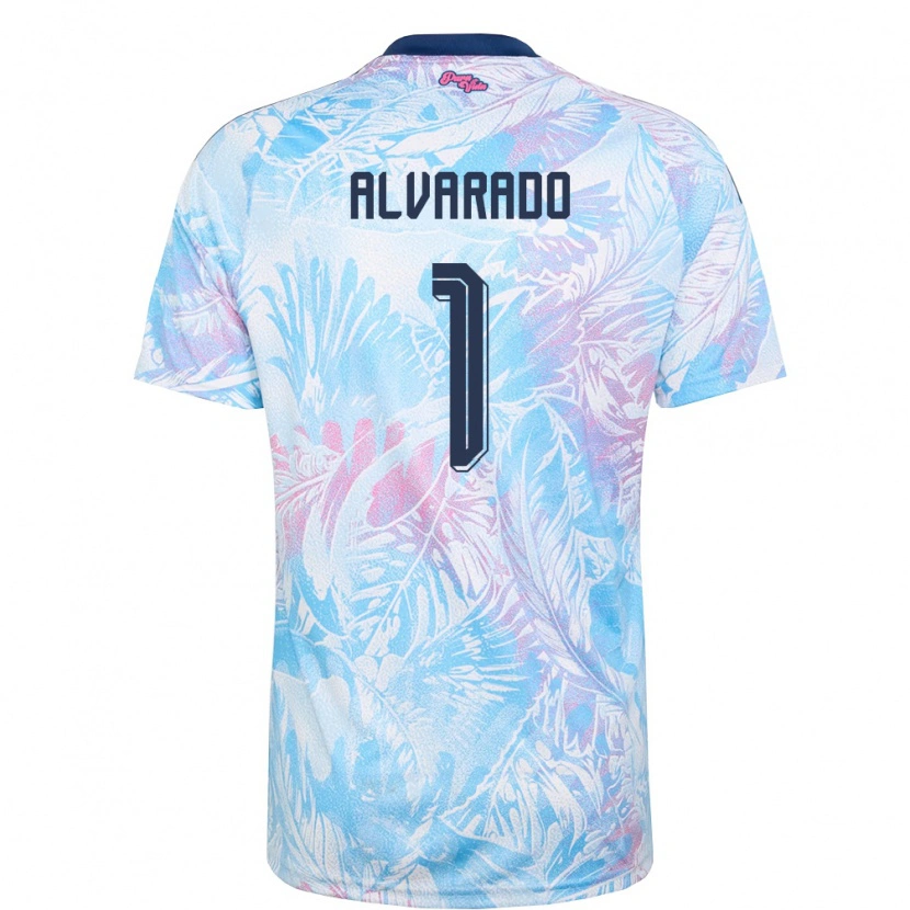 Danxen Mujer Camiseta Costa Rica Esteban Alvarado #1 Azul Cielo Marino Rosa 2ª Equipación 26-28 La Camisa México
