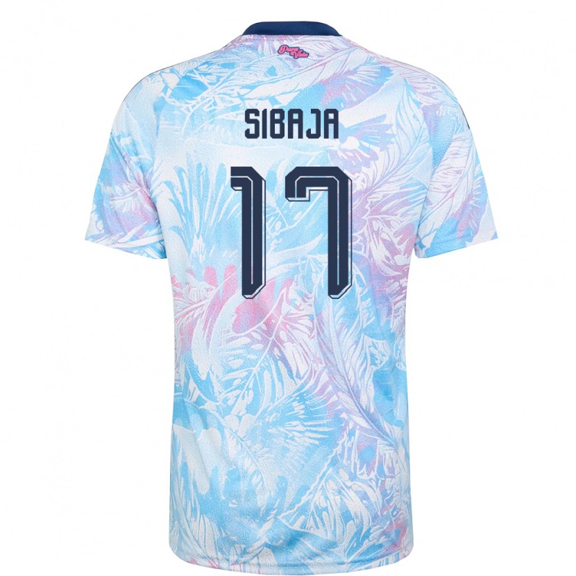 Danxen Mujer Camiseta Costa Rica Gabriel Sibaja #17 Azul Cielo Marino Rosa 2ª Equipación 26-28 La Camisa México