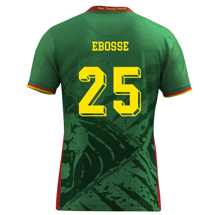 Danxen Niño Camiseta Camerún Enzo Ebosse #25 Verde Amarillo Rojo 1ª Equipación 26-28 La Camisa México