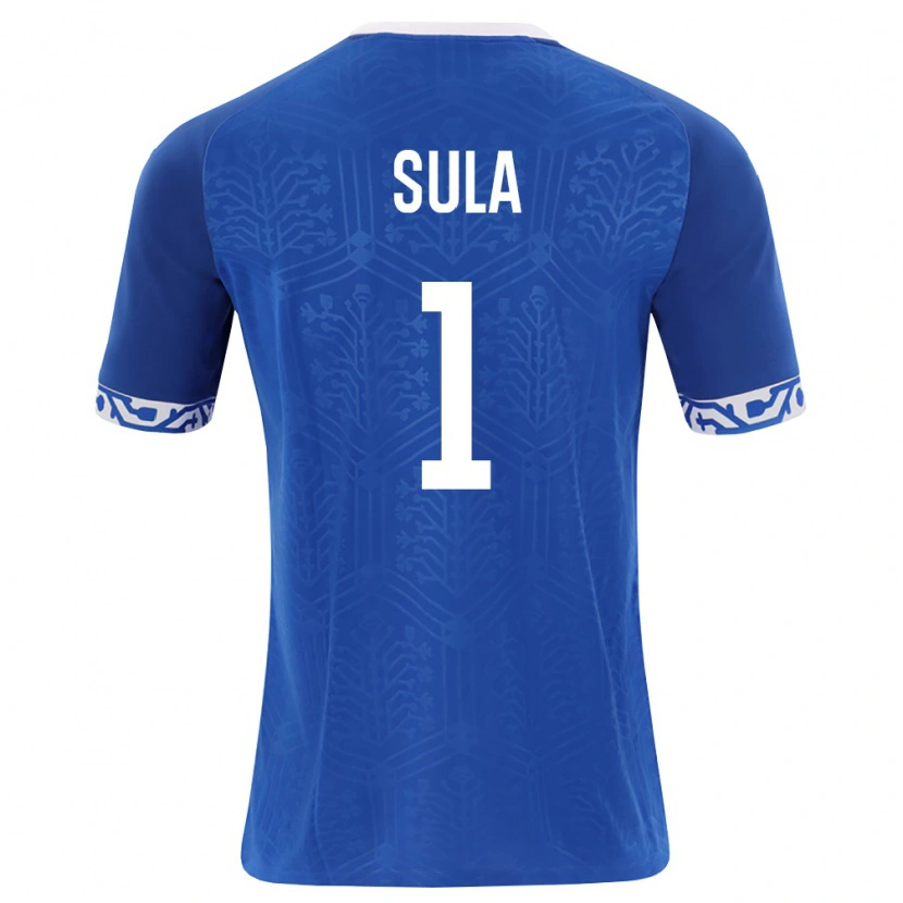 Danxen Niño Camiseta Moldavia Hector Sula #1 Azul Real Blanco 1ª Equipación 26-28 La Camisa México