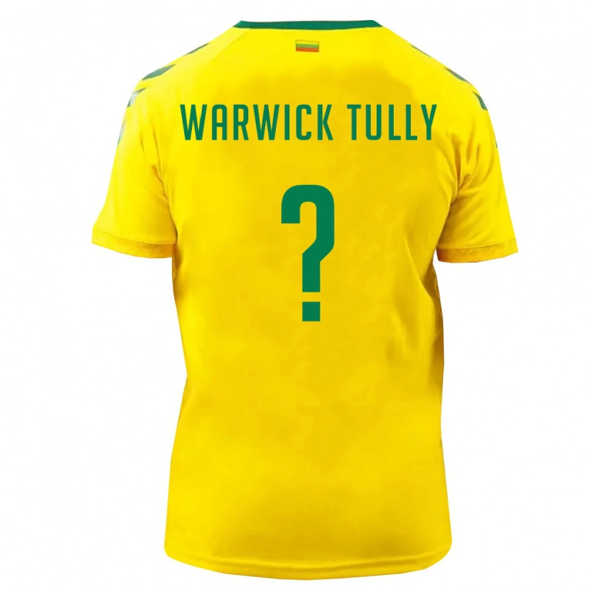 Danxen Niño Camiseta Lituania Benjamin Warwick Tully #0 Amarillo Verde 1ª Equipación 26-28 La Camisa México