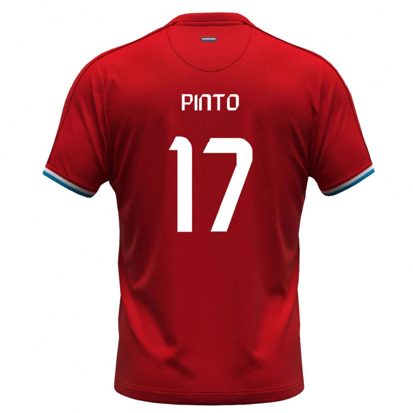 Danxen Niño Camiseta Luxemburgo Mica Pinto #17 Rojo Blanco Azul 1ª Equipación 26-28 La Camisa México