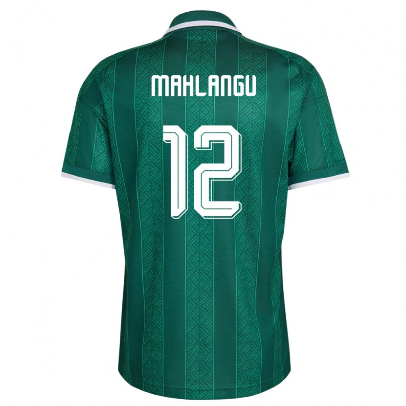 Danxen Niño Camiseta Sudáfrica Thabang Mahlangu #12 Verde Blanco Oro 2ª Equipación 26-28 La Camisa México