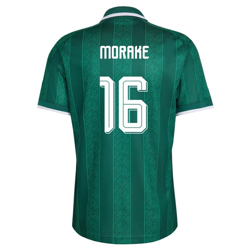 Danxen Niño Camiseta Sudáfrica Keabetswe Morake #16 Verde Blanco Oro 2ª Equipación 26-28 La Camisa México